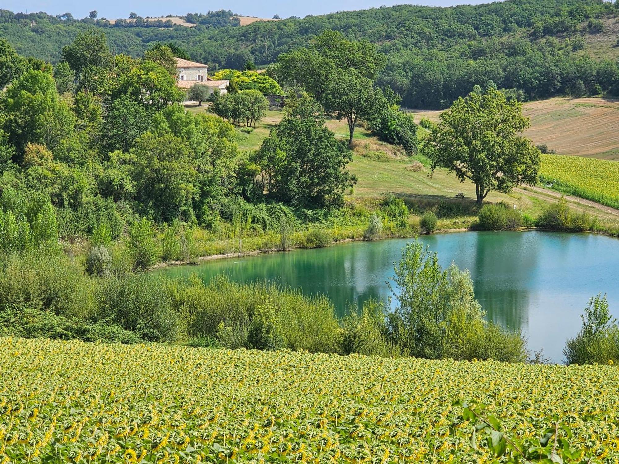 Le Gite Du Souffle Des Anges Sauveterre  Ngoại thất bức ảnh